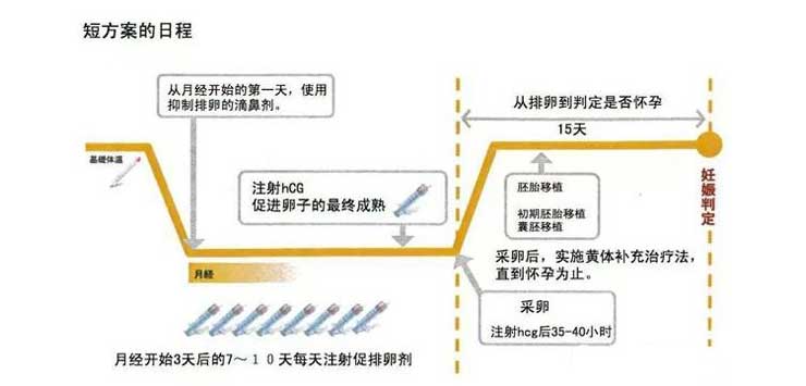 试管短方案流程图