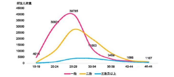 女士生育年龄布局图