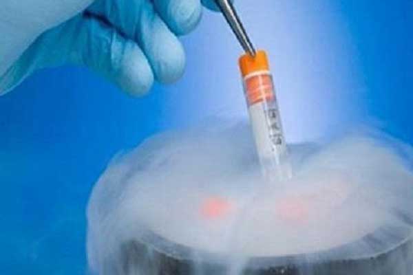 胚胎冷冻技术是目前保存生育能力较有效的方法