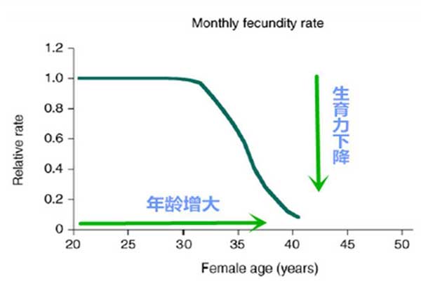 年龄越大怀孕成功率越低