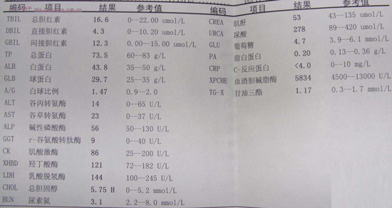 不同时期前白蛋白正常值范围不同